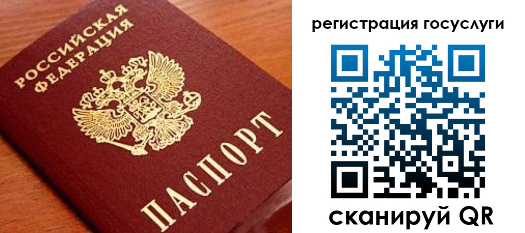 прописка иностранных граждан в Белгородской области
